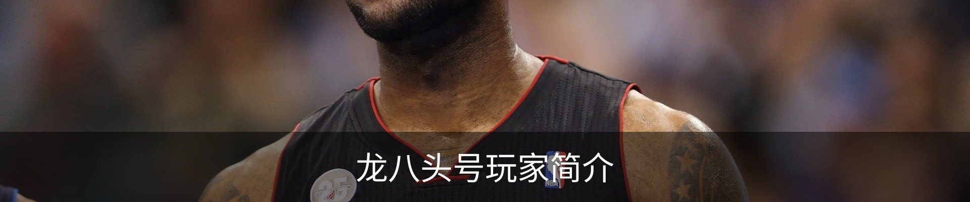 龙八头号玩家简介